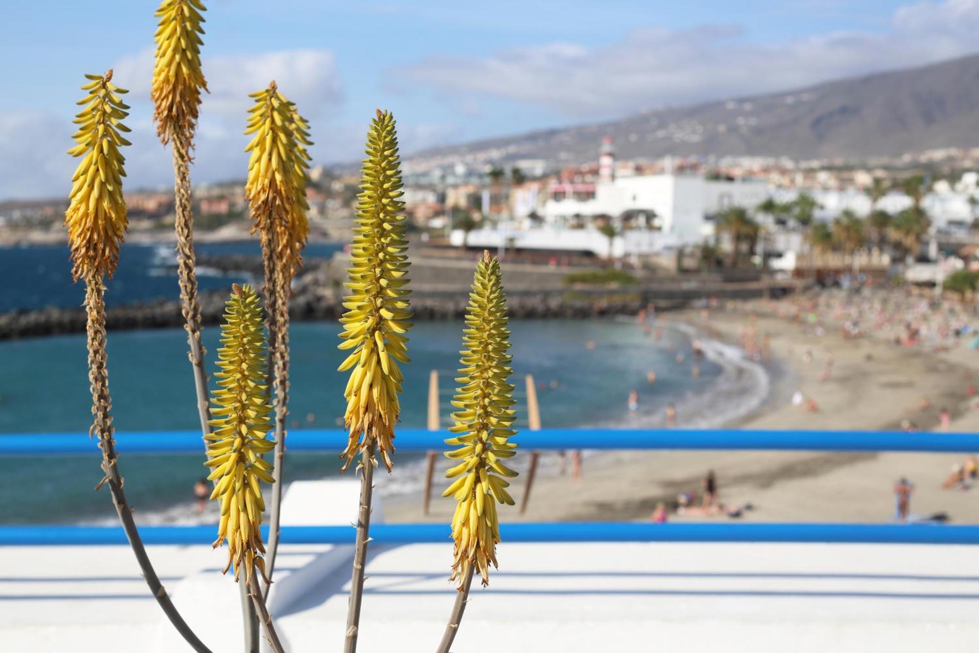 Luxury Romantic Ocean View Costa Adeje  Εξωτερικό φωτογραφία